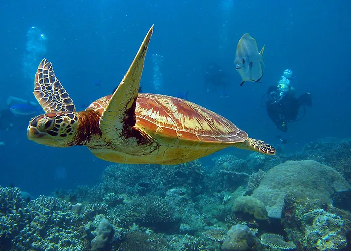 Chateau Elysium 5*